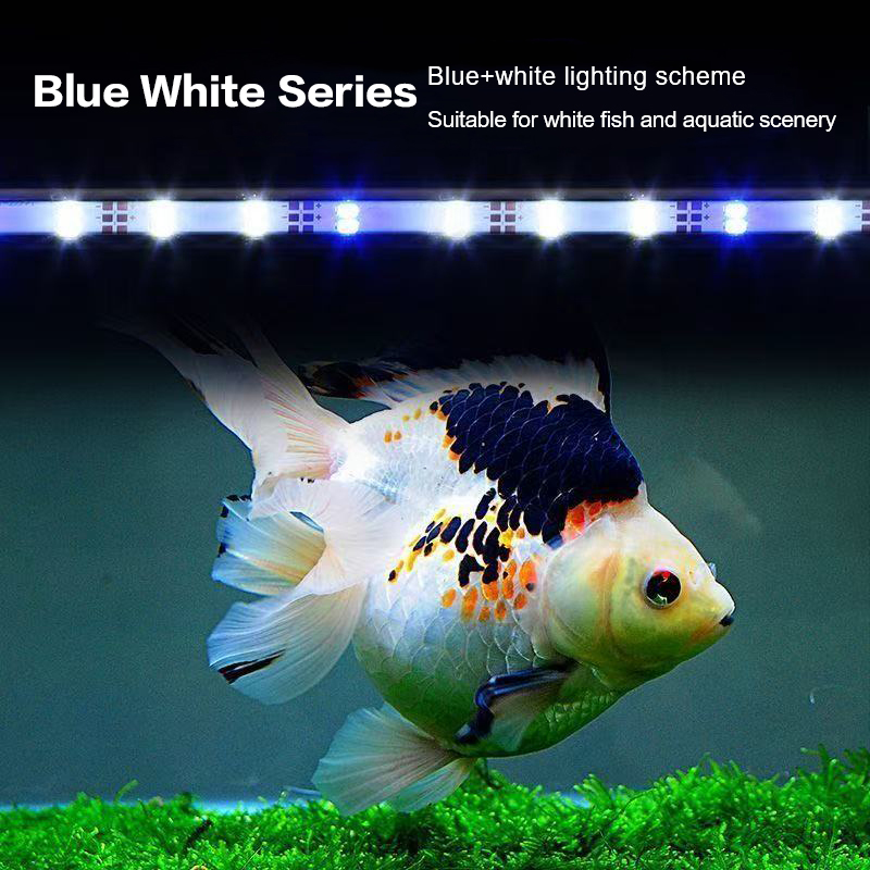 Lampu Akuarium LED USB 17-47CM - Aquarium Marine Lights ulasan dan harga