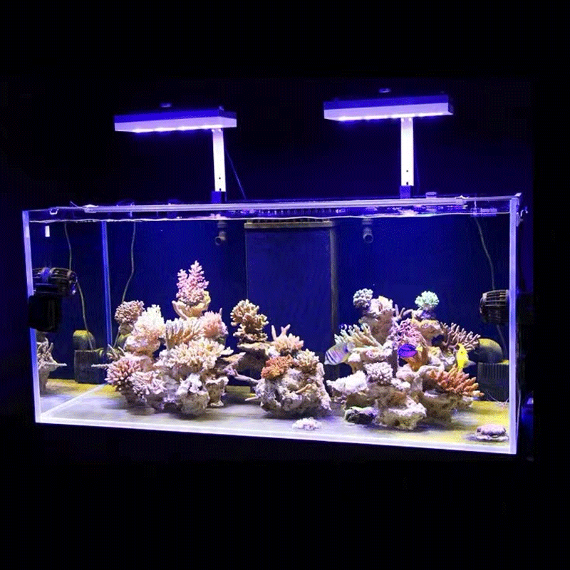 Lampu LED Terumbu Karang Aqua  - Marine Coral ulasan dan harga