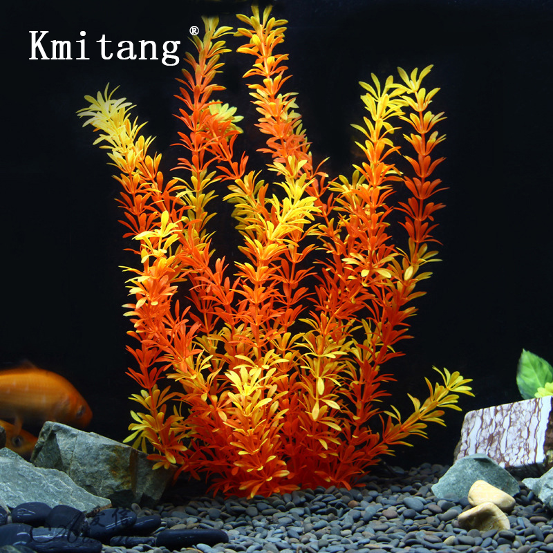 Tanaman Tropis 100cm, Rumput A - Marine Fish Tank ulasan dan harga