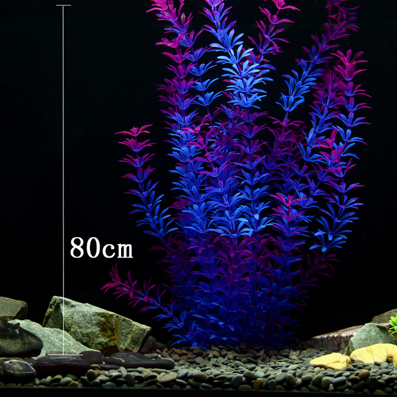 Tanaman Tropis 100cm, Rumput A - Marine Fish Tank ulasan dan harga