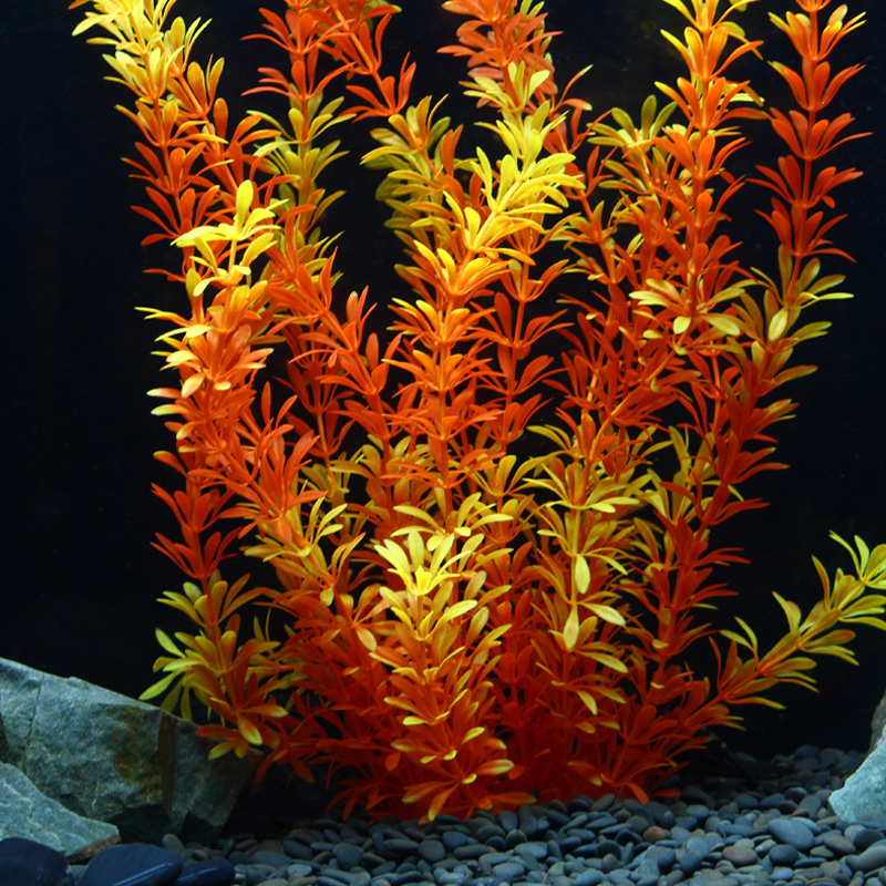 Tanaman Tropis 100cm, Rumput A - Marine Fish Tank ulasan dan harga