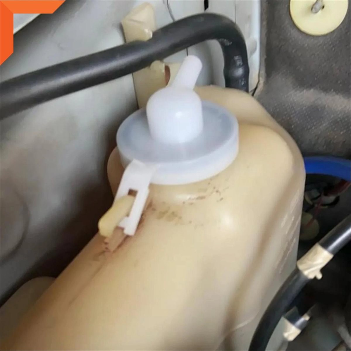 # Tutup Radiator 37H, Penutup  - Saltwater Tank ulasan dan harga