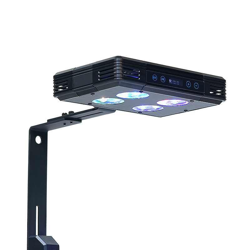 Lampu LED Terumbu Karang Multi - Reef Lighting ulasan dan harga