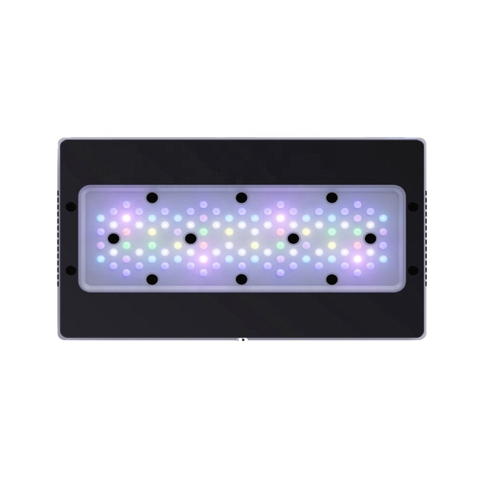 Lampu LED Akuarium Laut A8SE I - Marine Coral ulasan dan harga