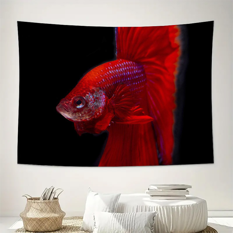 Permadani Ikan Betta Merah Cer - Ocean Aquarium ulasan dan harga